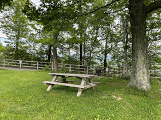 John Boyd Thacher State Park picnic table