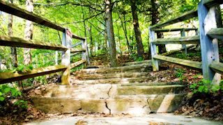 Thacher Park