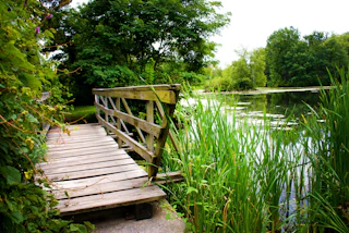 Ann Lee Pond and Nature Preserve