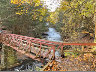 Huyck Preserve in Fall